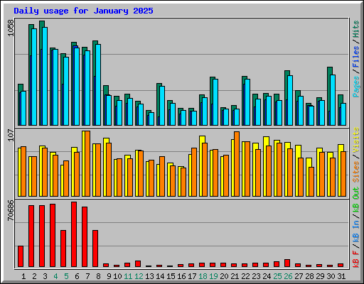 Daily usage for January 2025