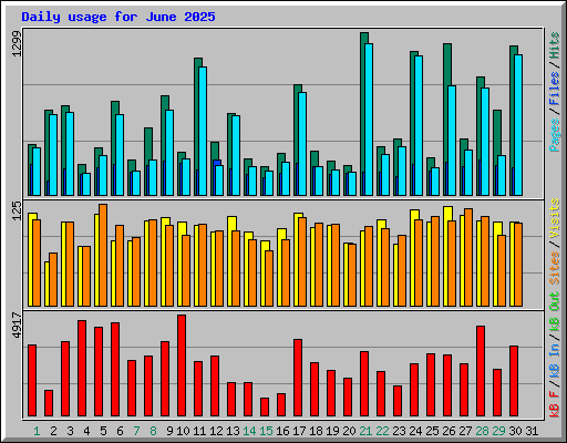 Daily usage for June 2025