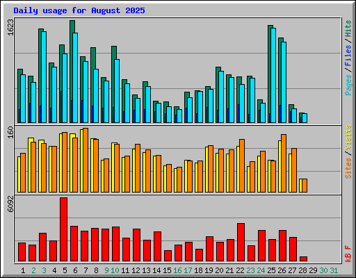 Daily usage for August 2025