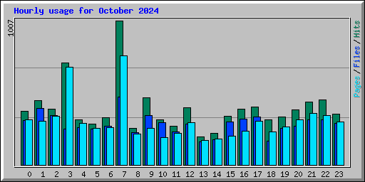 Hourly usage for October 2024