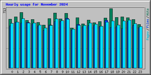 Hourly usage for November 2024