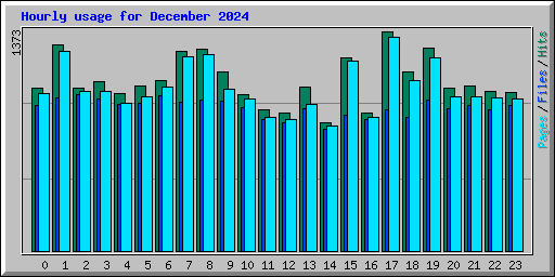 Hourly usage for December 2024