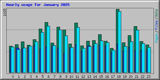 Hourly usage for January 2025