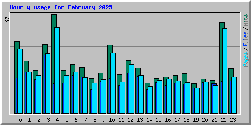 Hourly usage for February 2025