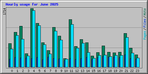 Hourly usage for June 2025