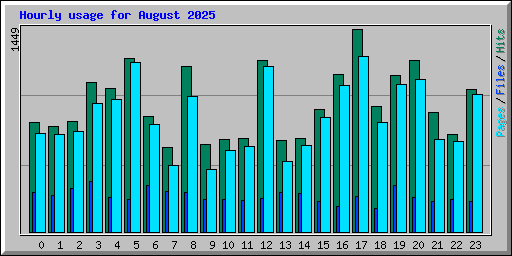 Hourly usage for August 2025