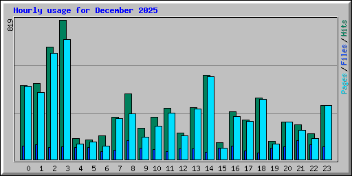 Hourly usage for December 2025