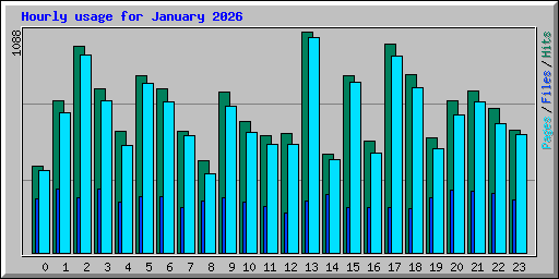 Hourly usage for January 2026