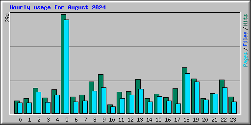 Hourly usage for August 2024