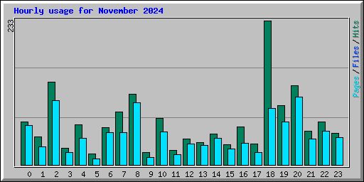 Hourly usage for November 2024