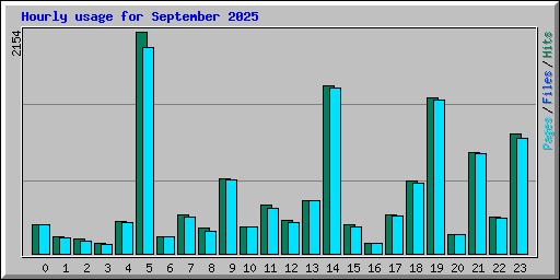 Hourly usage for September 2025