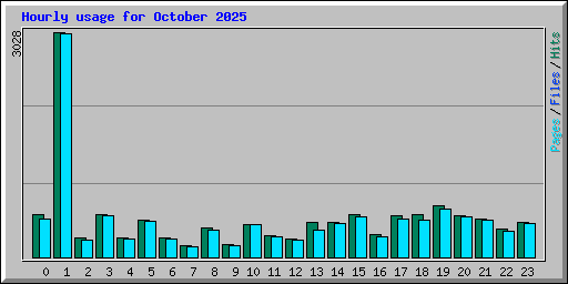 Hourly usage for October 2025