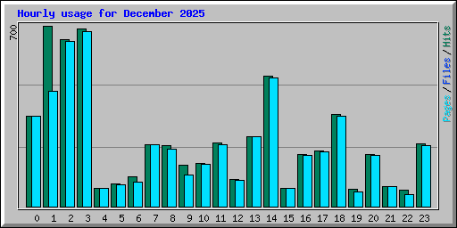 Hourly usage for December 2025