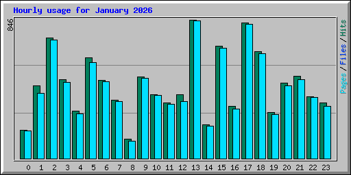 Hourly usage for January 2026