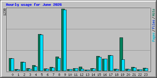 Hourly usage for June 2026